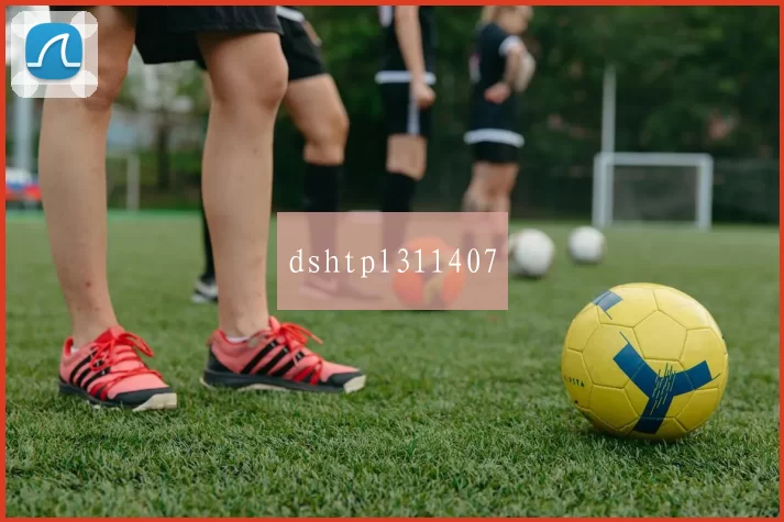 dshtpl311407