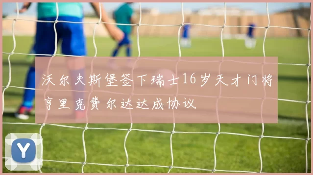 沃尔夫斯堡签下瑞士16岁天才门将亨里克费尔达达成协议
