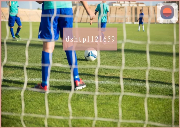 dshtpl121659