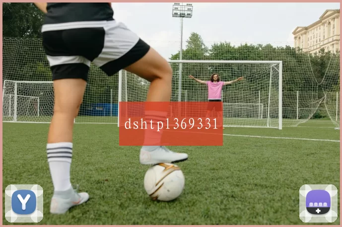 dshtpl369331